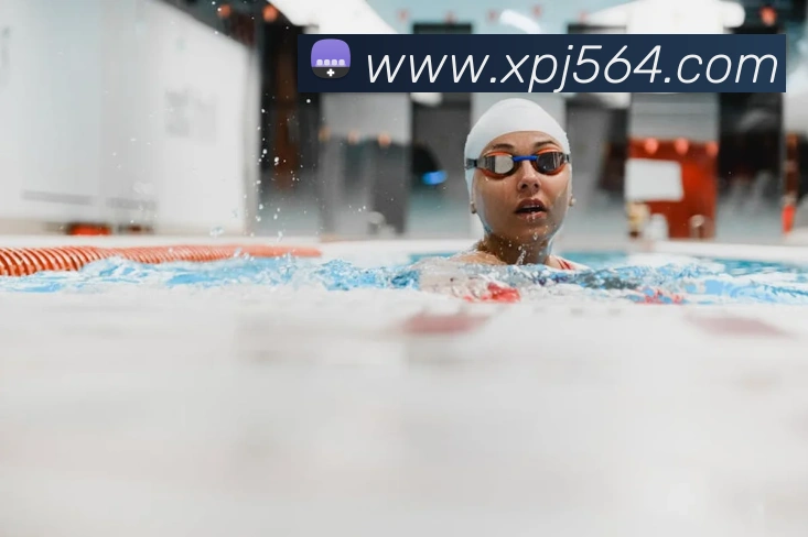 澳门新葡京入口APP 封面图